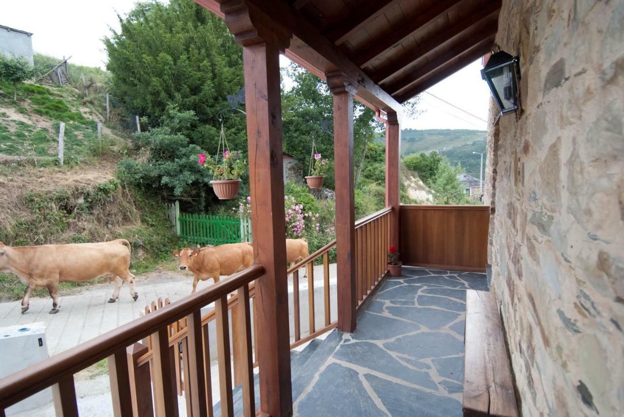 Apartamentos Rurales Tia Vicenta Санта-Эулалия-де-Оскос Экстерьер фото